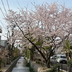 Séjour chez l'habitant 初音, Kyoto